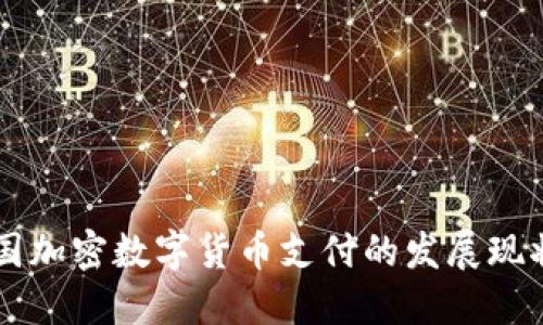 深入探讨韩国加密数字货币支付的发展现状与未来展望