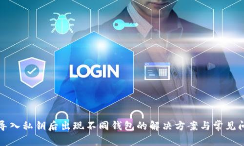 TP钱包导入私钥后出现不同钱包的解决方案与常见问题解析