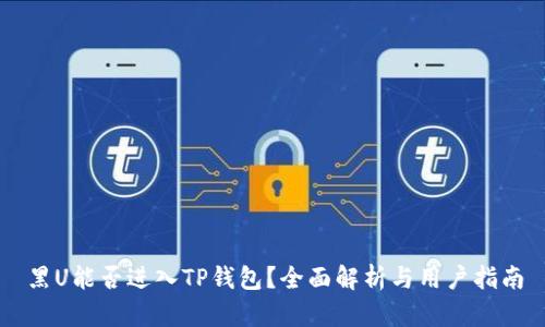 黑U能否进入TP钱包？全面解析与用户指南