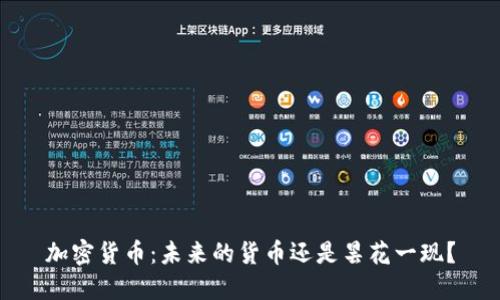 加密货币：未来的货币还是昙花一现？