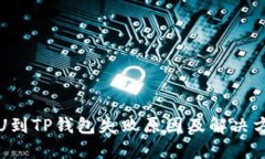 火币提U到TP钱包失败原因及解决方案详解