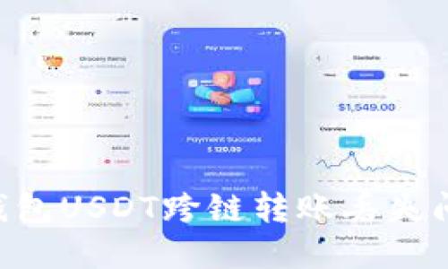 如何解决TP钱包USDT跨链转账丢失问题：全面指南