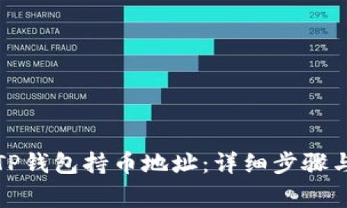 如何查询TP钱包持币地址：详细步骤与注意事项