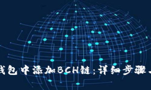 如何在TP钱包中添加BCH链：详细步骤与注意事项