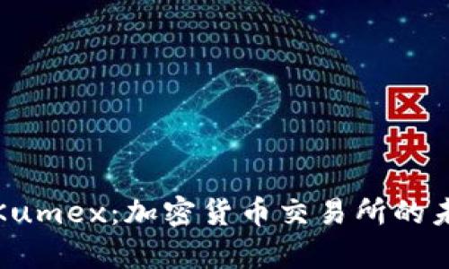 深入解析Kumex：加密货币交易所的未来与机遇