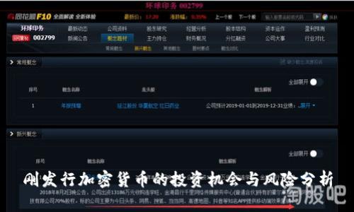 刚发行加密货币的投资机会与风险分析